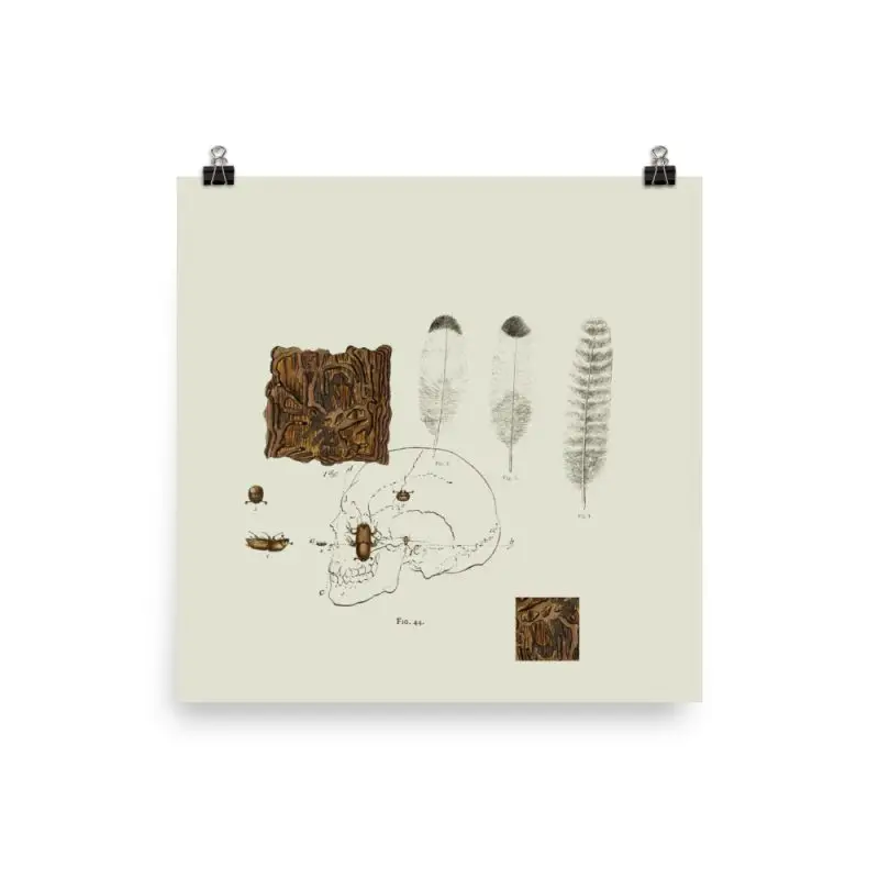 Wood Feather Poster