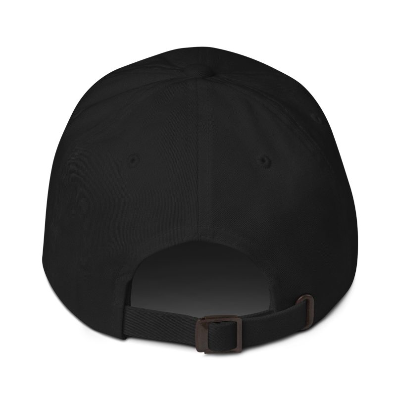 Aircooled Cola Dad hat - Image 11