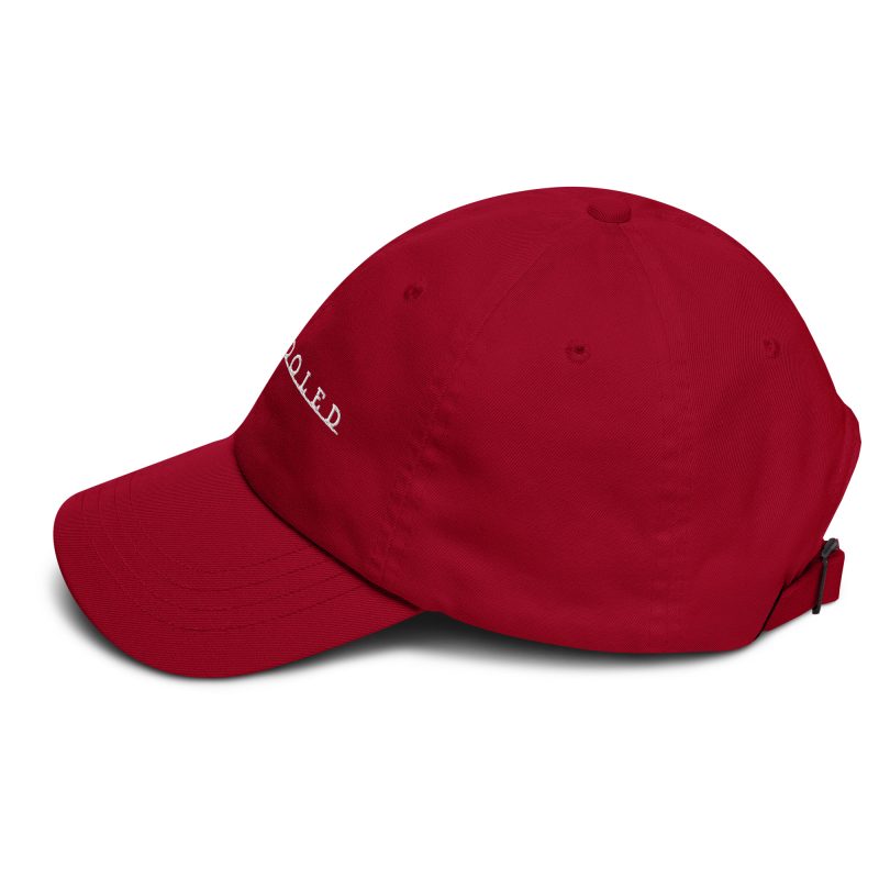 Aircooled T2 Script Dad hat - Image 17