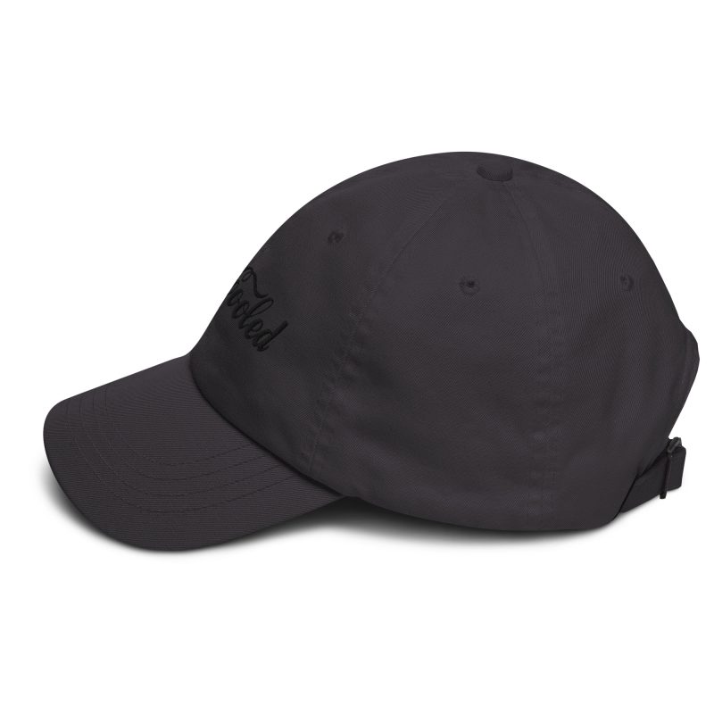 Aircooled Cola Dad hat - Image 18