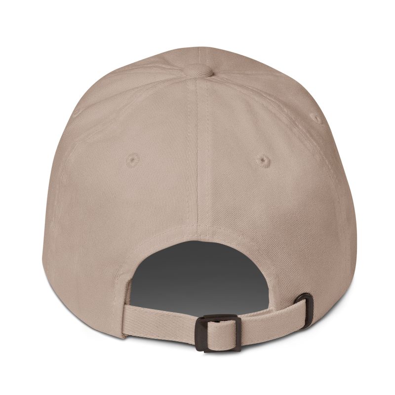 Aircooled Cola Dad hat - Image 30