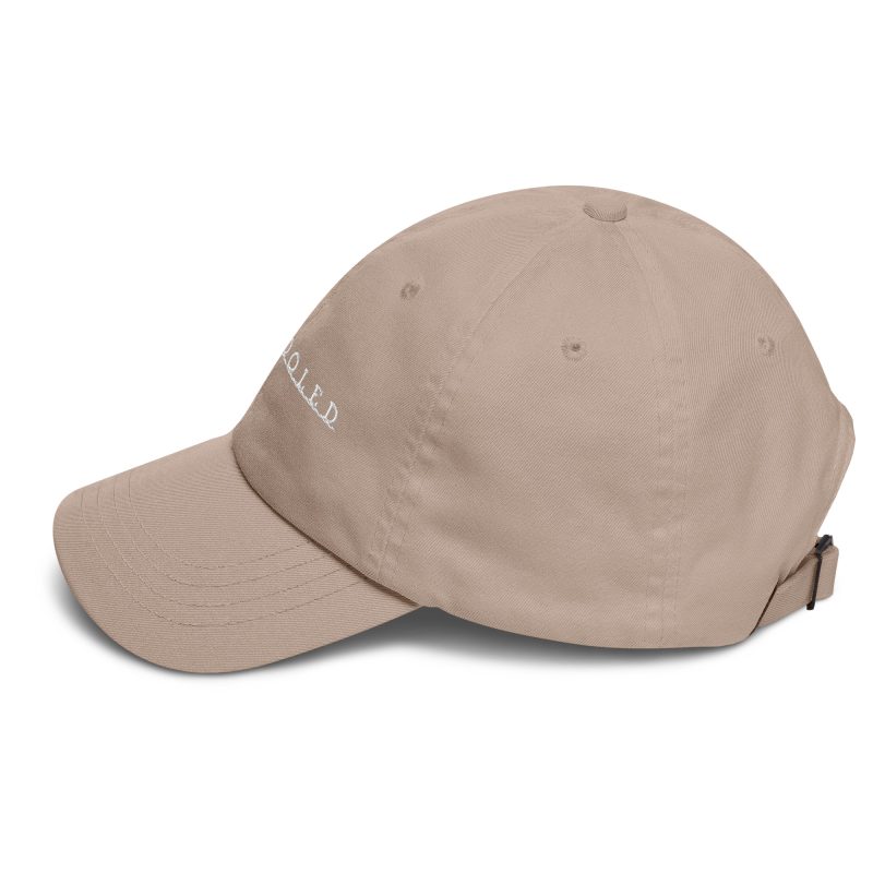 Aircooled T2 Script Dad hat - Image 37