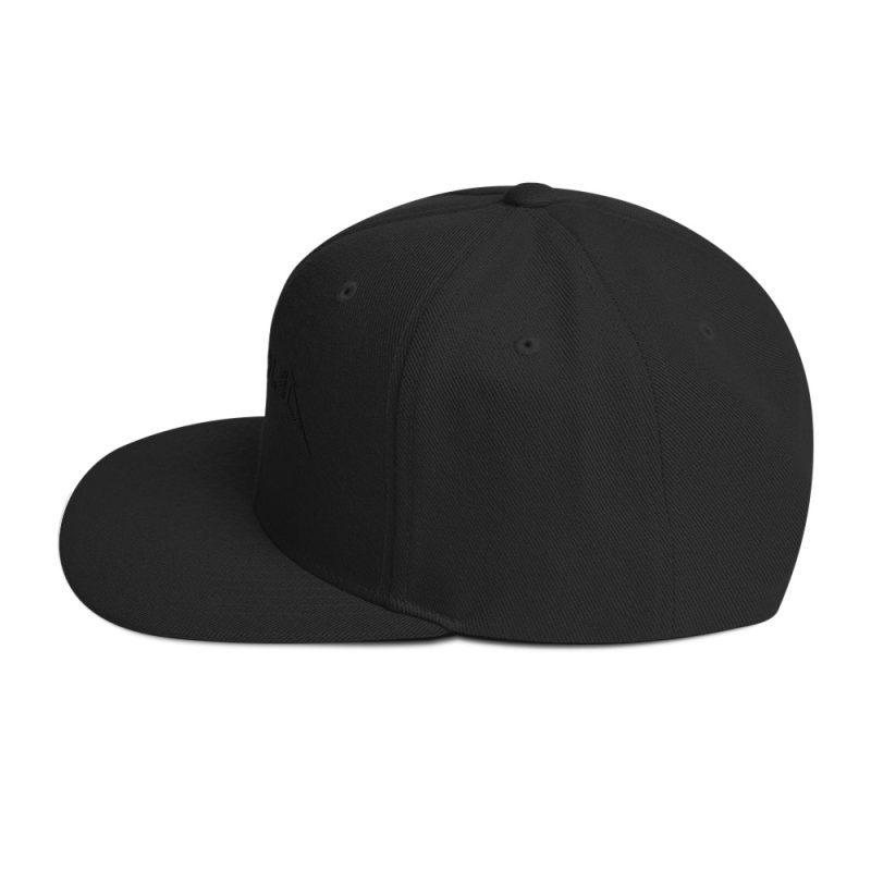 Aircooled Heavy Metal Snapback Hat - Image 14