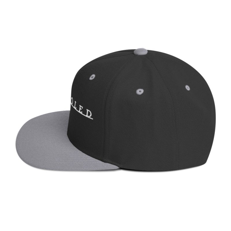 Aircooled T2 Script Snapback Hat - Image 25