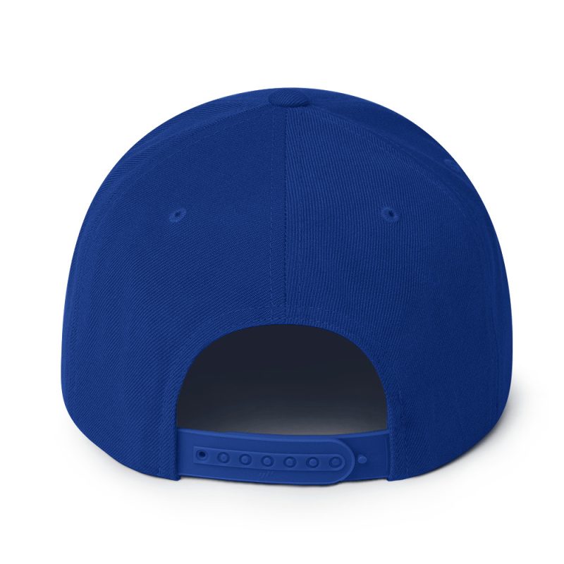 Aircooled T2 Script Snapback Hat - Image 32