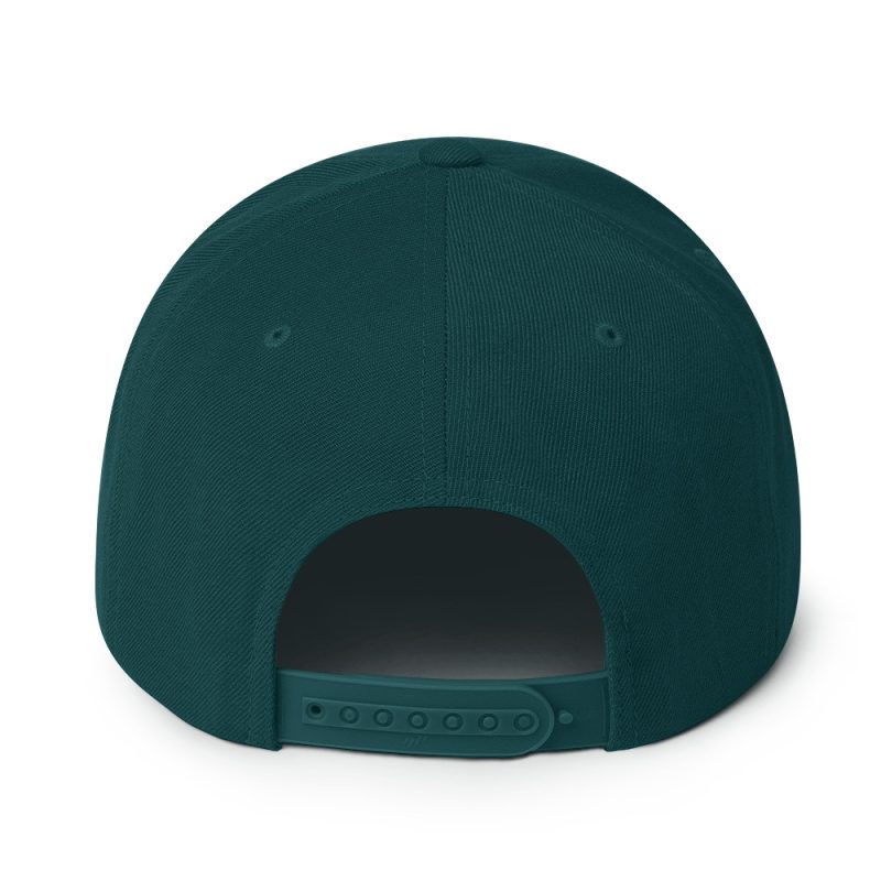 Aircooled T2 Script Snapback Hat - Image 44