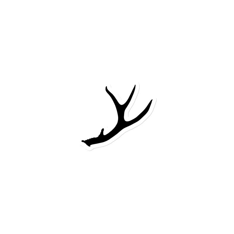 Blacktail Deer Antler Magnet