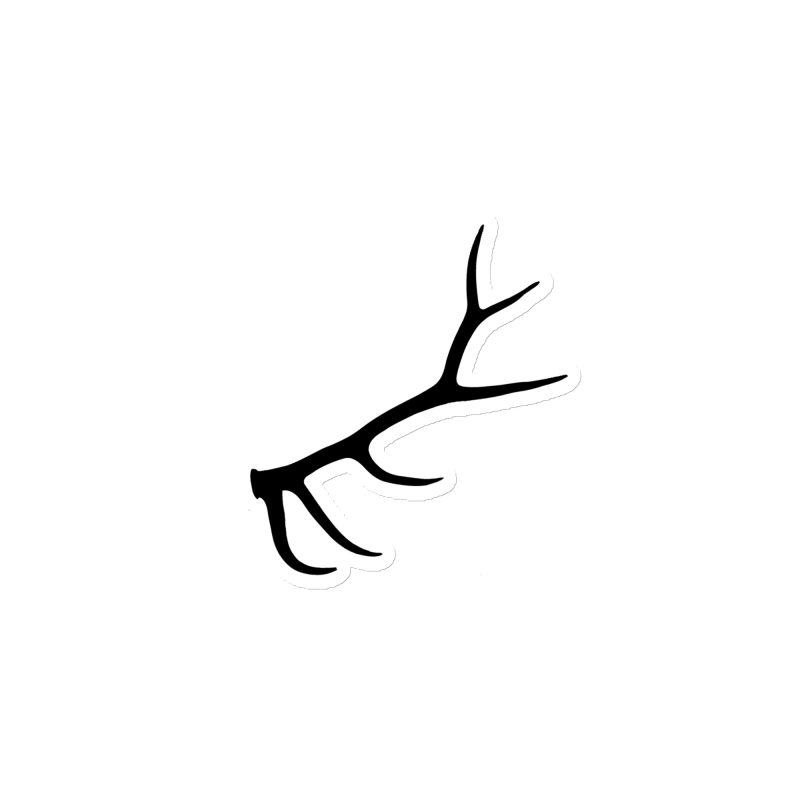 Elk Antler Magnet - Image 2