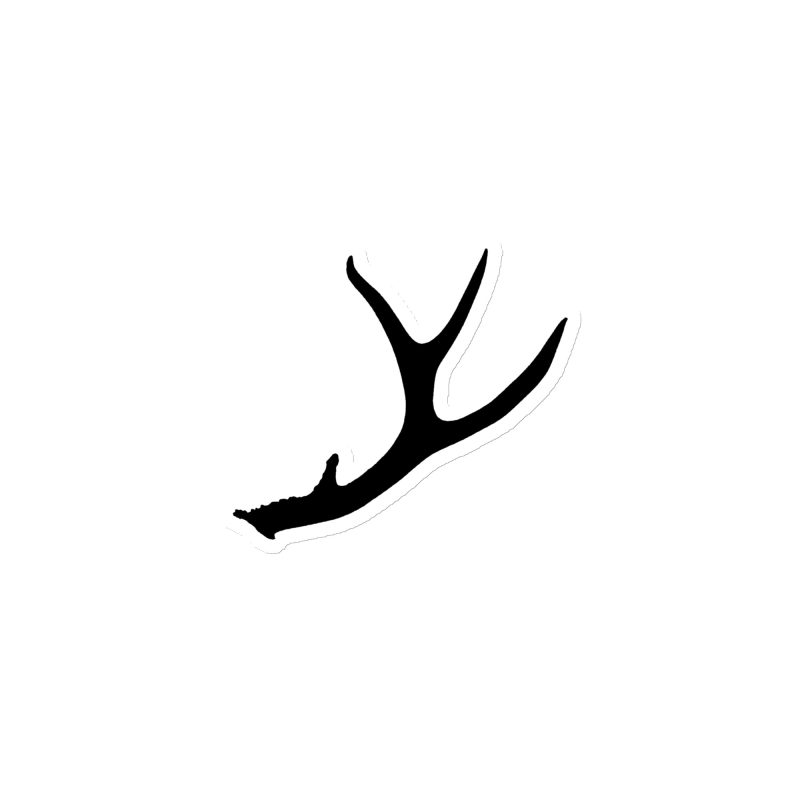 Blacktail Deer Antler Magnet - Image 2