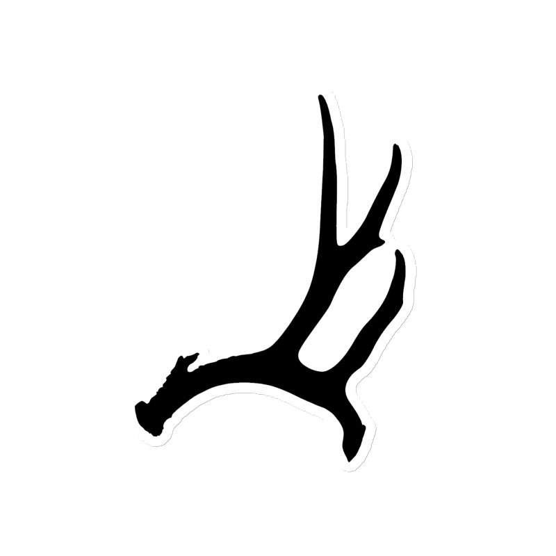 Mule Deer Antler Magnet - Image 3