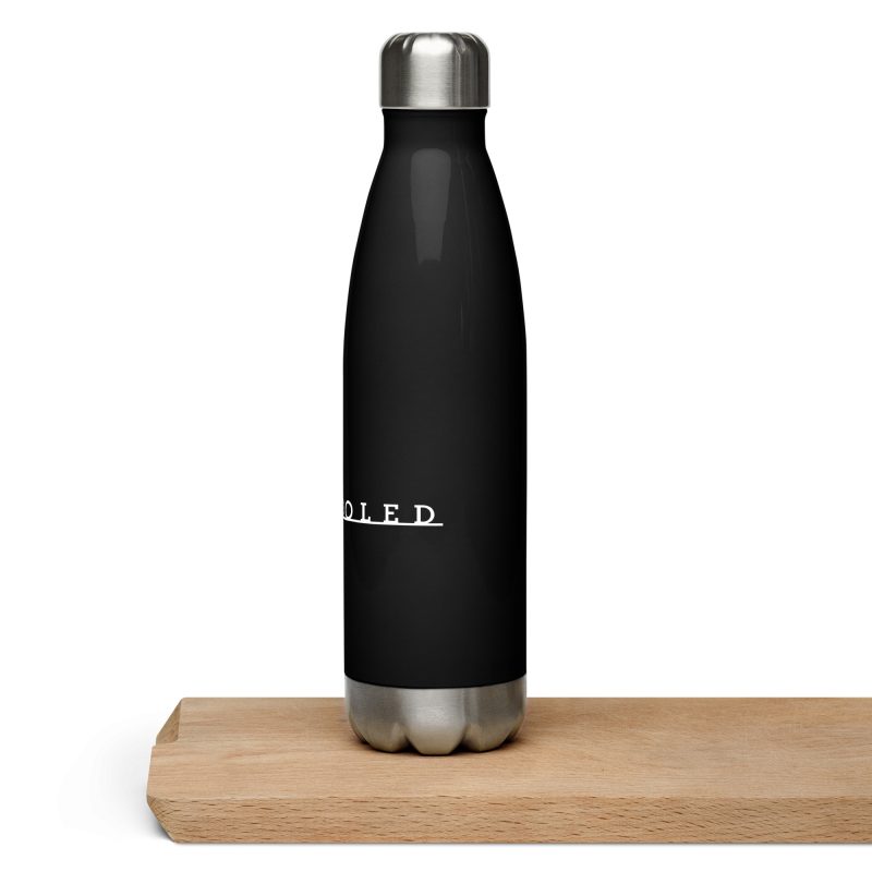 Aircooled T2 Script Stainless steel water bottle - Image 6