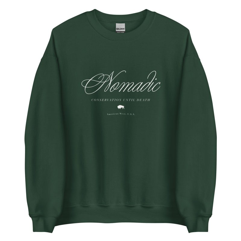 Nomadic Unisex Sweatshirt - Image 10