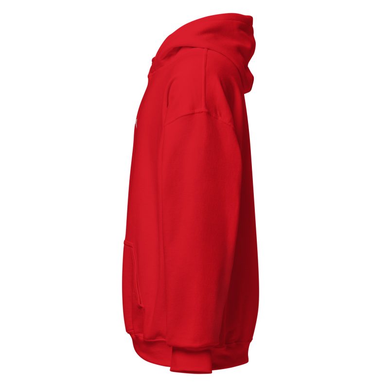 Aricooled Heavy Metal Embroidered Unisex Hoodie - Image 26